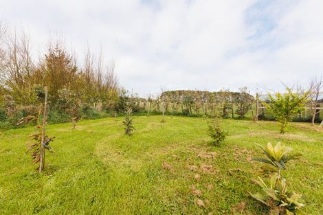 Photo of property in 46 Nuku Street, Tangimoana, 4822