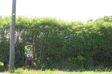 Photo of property in 31 Cobden Street, Westport, 7825