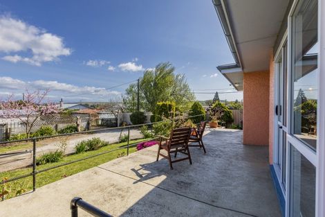 Photo of property in 45a Racecourse Road, Waipukurau, 4200