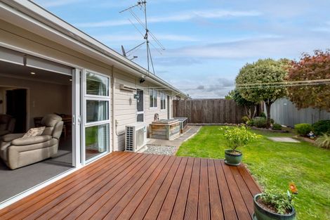 Photo of property in 11b Rimu Street, Lansdowne, Masterton, 5810