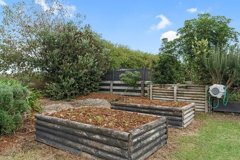 Photo of property in 137 Mangawhai Heads Road, Mangawhai Heads, Kaiwaka, 0573