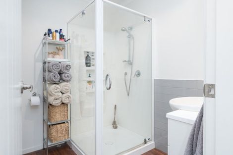 Photo of property in 54d Willoughby Street, Whitiora, Hamilton, 3200