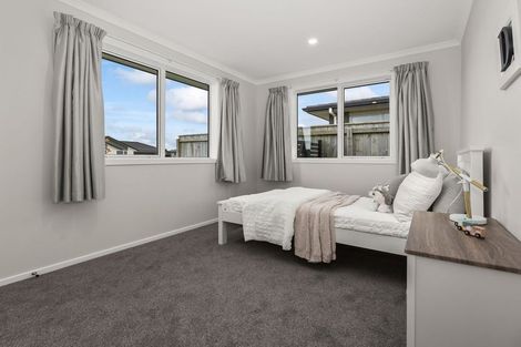 Photo of property in 87 Hinemoa Street, Levin, 5510