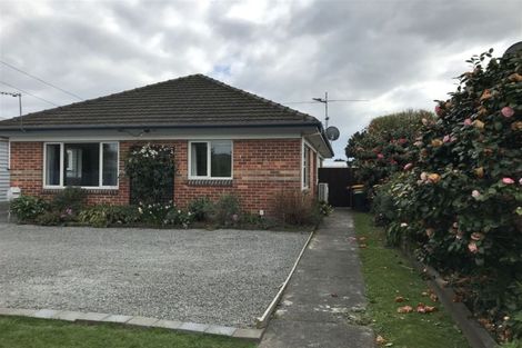 Photo of property in 125 Milton Street, Somerfield, Christchurch, 8024
