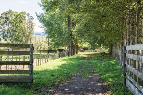 Photo of property in 368 Belvedere Road, Carrington, Carterton, 5791