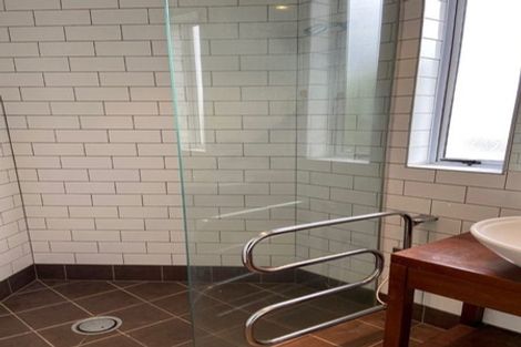 Photo of property in 22 Selkirk Street, Roslyn, Dunedin, 9010