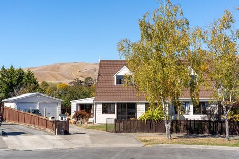 Photo of property in 8 Grant Place, Witherlea, Blenheim, 7201