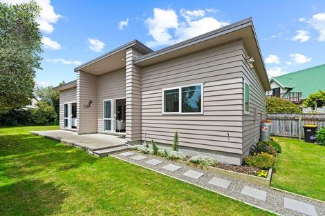 Photo of property in 77 Dublin Street, Martinborough, 5711