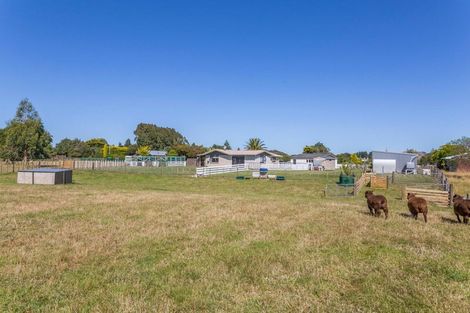 Photo of property in 29 Tipapakuku Road, Dannevirke, 4930