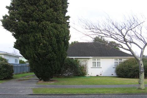 Photo of property in 67 Guy Avenue, Takaro, Palmerston North, 4410