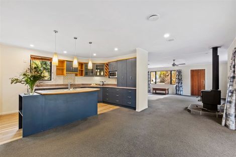 Photo of property in 12 Achray Street, Waiau, 7332