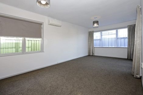 Photo of property in 42 Cook Street, Gate Pa, Tauranga, 3112