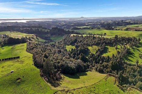 Photo of property in 687 Work Road, Whakamarama, Katikati, 3181