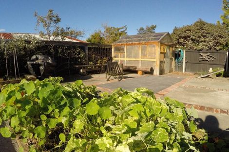 Photo of property in 30 Joy Street, Shirley, Christchurch, 8061