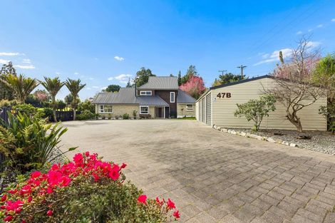 Photo of property in 47b Taniwha Place, Bethlehem, Tauranga, 3176