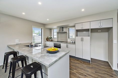 Photo of property in 14d Manor Drive, Rolleston, 7614