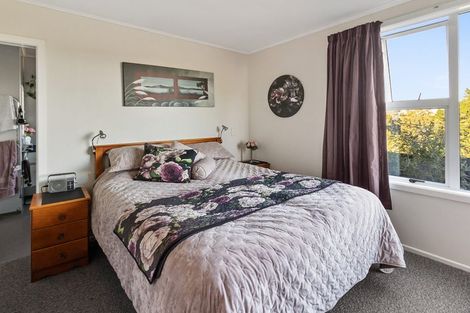Photo of property in 17 Hinau Place, Glenwood, Timaru, 7910