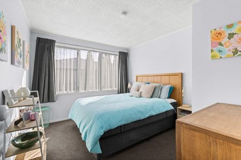 Photo of property in 2/807 Lyell Street, Akina, Hastings, 4122
