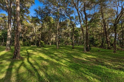 Photo of property in 449 Grieve Road, Te Teko, Whakatane, 3193