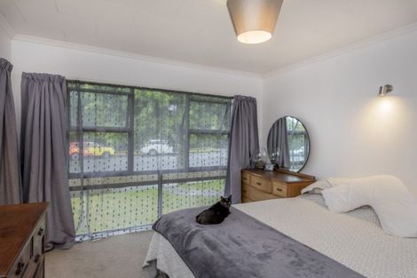 Photo of property in 136 Winchester Street, Levin, 5510