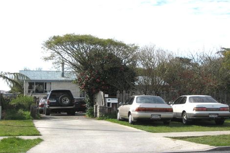 Photo of property in 112 Ariel Street, Stratford, 4332