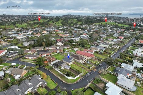 Photo of property in 50 Webster Avenue, Mount Roskill, Auckland, 1041