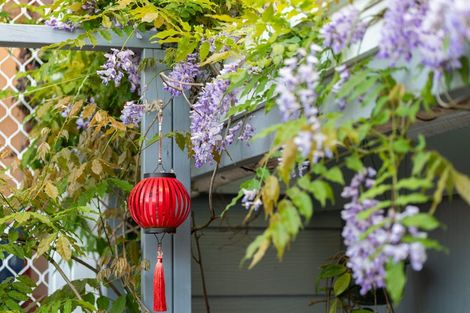 Photo of property in 12 Helena Street, Massey, Auckland, 0614