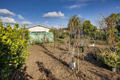 Photo of property in 1022 Konini Street, Mahora, Hastings, 4120