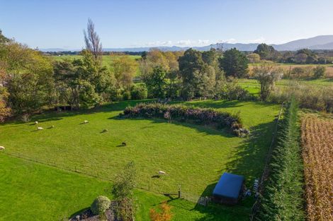 Photo of property in 133a Papawai Road, Greytown, 5794