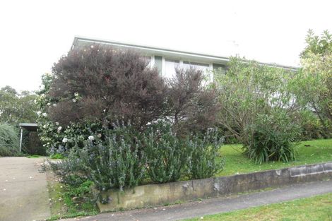 Photo of property in 105 Herewaka Street, Thames, 3500