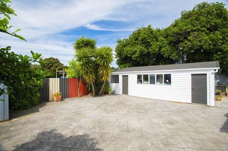 Photo of property in 249 Ormond Road, Mangapapa, Gisborne, 4010