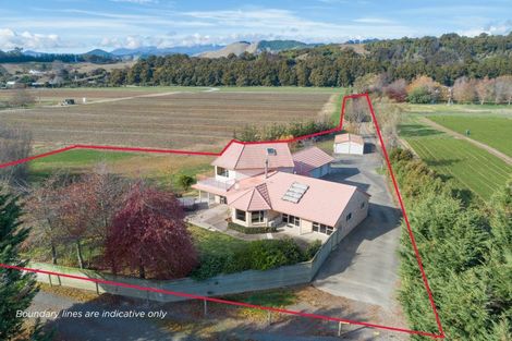 Photo of property in 38 Higgins Road, Frankton, Hamilton, 3204