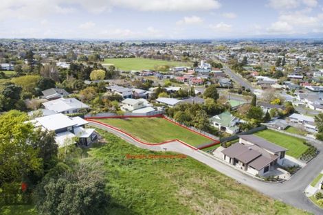 Photo of property in 6 Debonair Court, Feilding, 4702