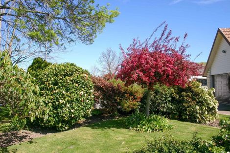 Photo of property in 20 Taranaki Drive, Woodend, 7610