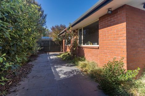 Photo of property in 19b Newcastle Street, Phillipstown, Christchurch, 8011