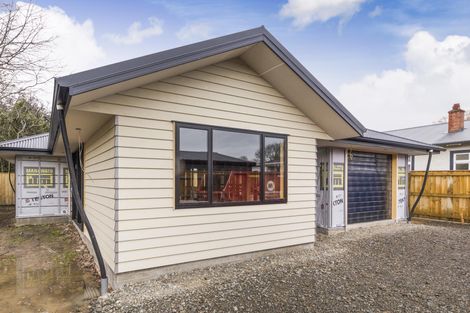 Photo of property in 28a Alfred Street, Roslyn, Palmerston North, 4414