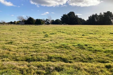 Photo of property in 157 Michael Street, Rakaia, 7710