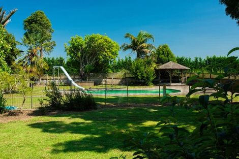 Photo of property in 906 Matawai Road, Ormond, Gisborne, 4071