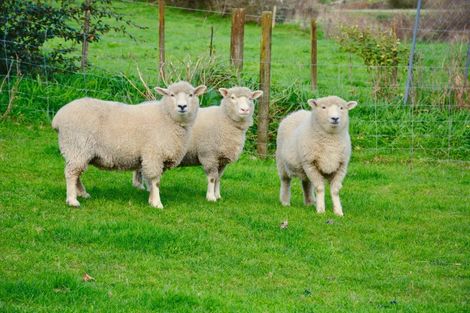 Photo of property in 139b Golden Valley Road, Waihi, 3681