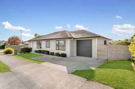 Photo of property in 244 Victoria Street West, Pukekohe, 2120