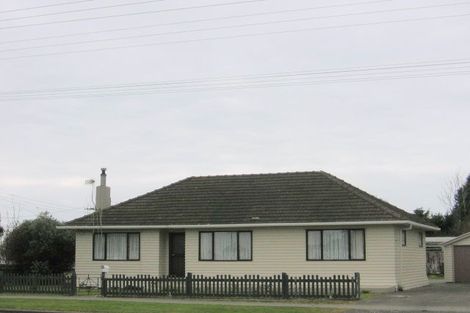 Photo of property in 45 Johnston Street, Foxton, 4814