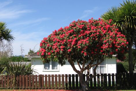 Photo of property in 12a Ross Road, Western Heights, Rotorua, 3015