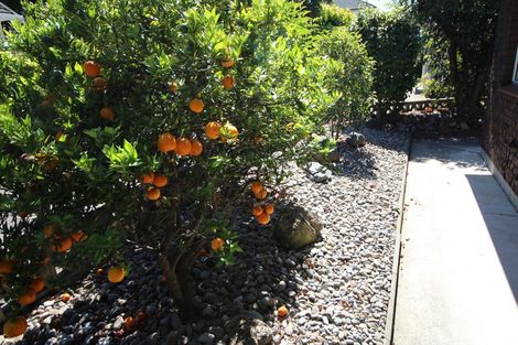 Photo of property in 127a Victoria Avenue, Hokowhitu, Palmerston North, 4410