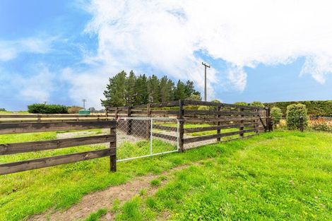 Photo of property in 8 Minnie Street, Waimate, 7980