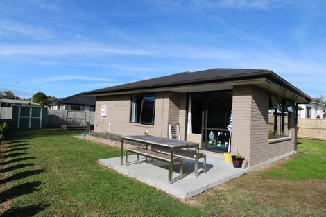 Photo of property in 11b Okoroire Street, Tirau, 3410