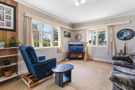 Photo of property in 58 Domain Road, Putaruru, 3482
