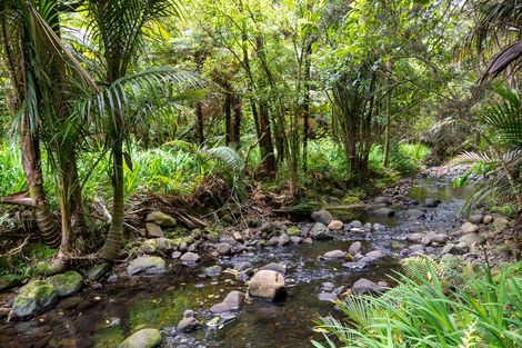 Photo of property in 3 Opanuku Road, Henderson Valley, Auckland, 0612
