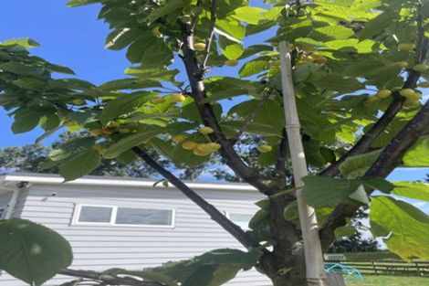 Photo of property in 78 Tamatarau Road, Tokomaru, Palmerston North, 4474