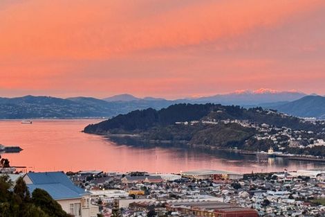 Photo of property in 54 Hornsey Road, Melrose, Wellington, 6023