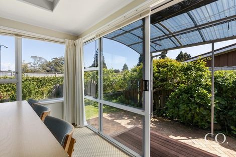 Photo of property in 12 Cedar Grove, Matua, Tauranga, 3110